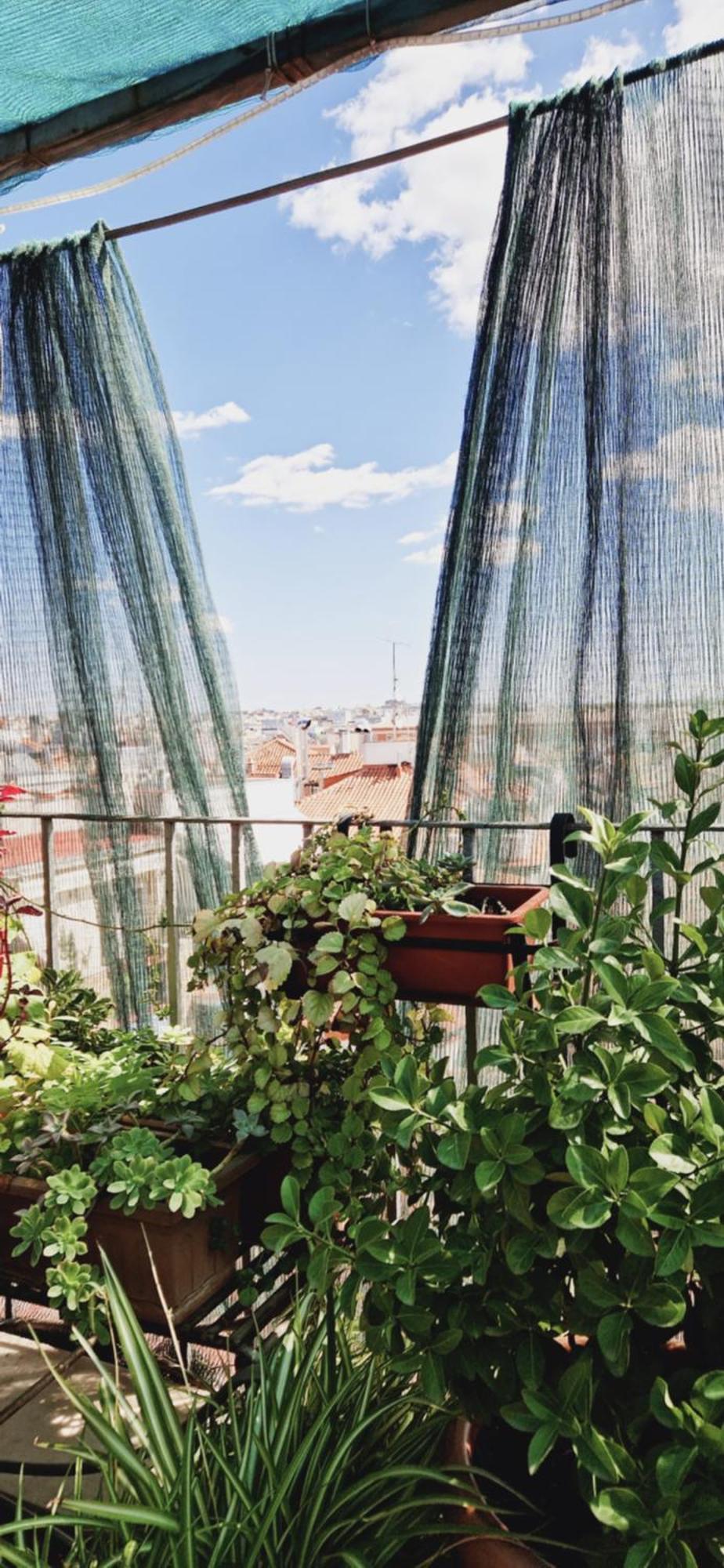Casa De Huespedes Dolce Vita Мадрид Екстериор снимка